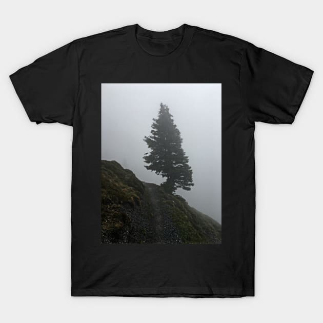 Solitary tree on a misty mountain top T-Shirt by Dturner29